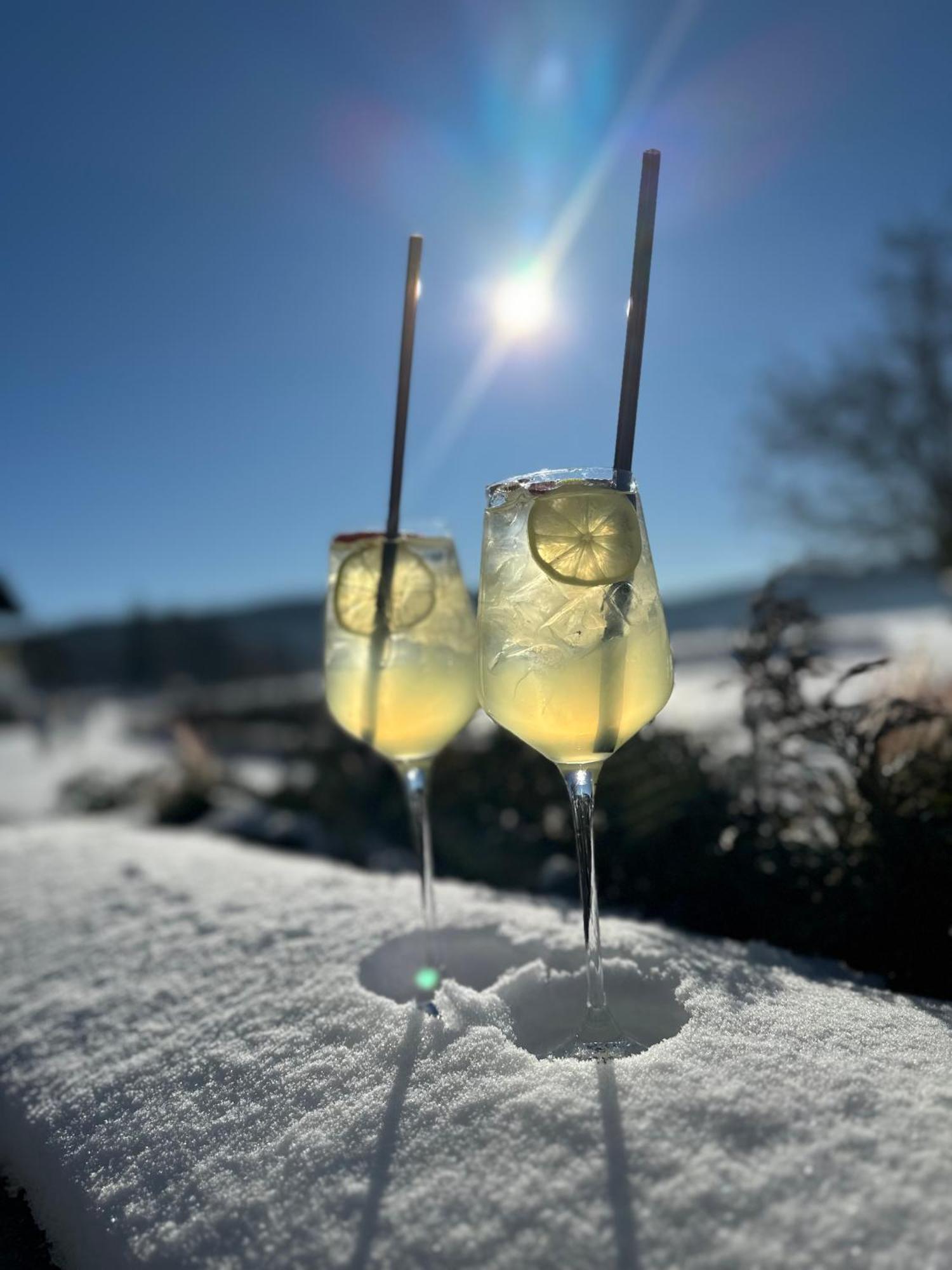 Mezonet Lipno Nad Vltavou Lejlighed Eksteriør billede